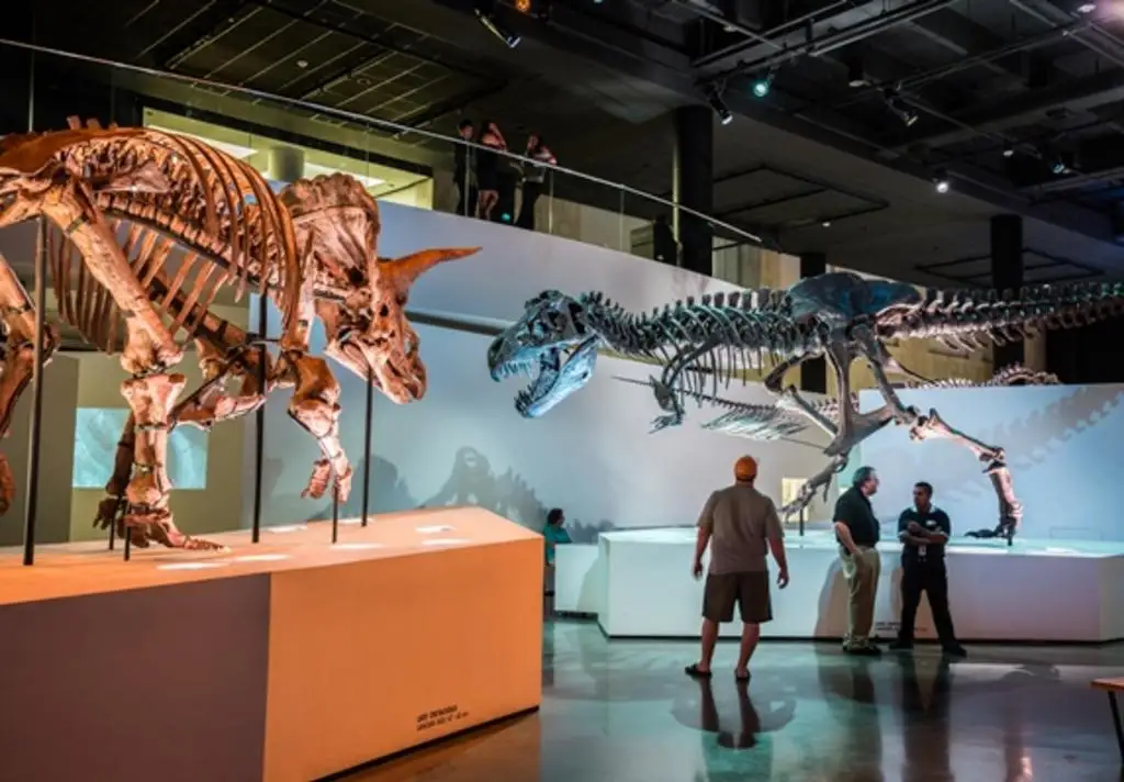 HMNS Family Membership - 1 Year + $50 Gringos Gift Card (Approx: $175 value)